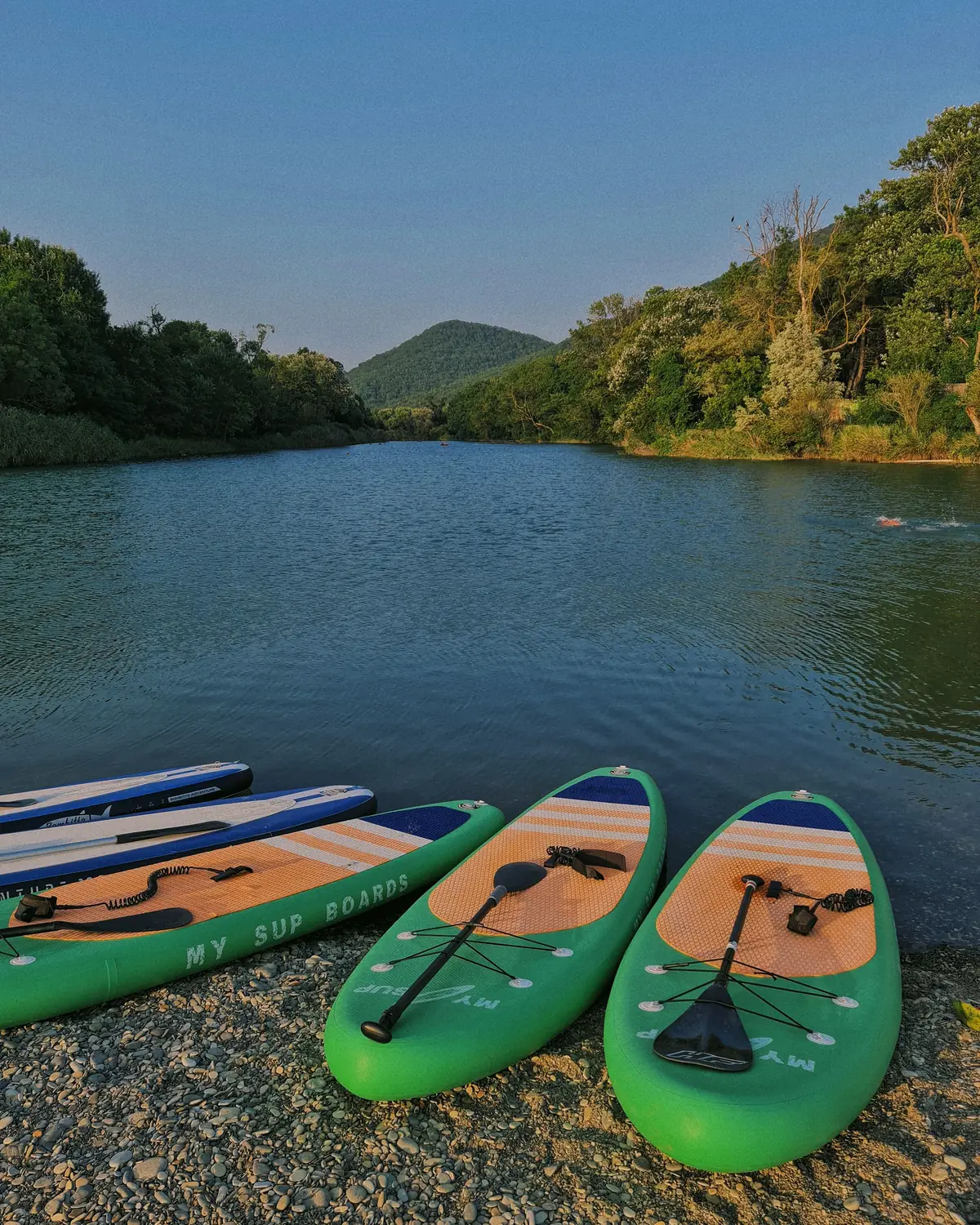 Katrancı Bay Forest Cove Tour